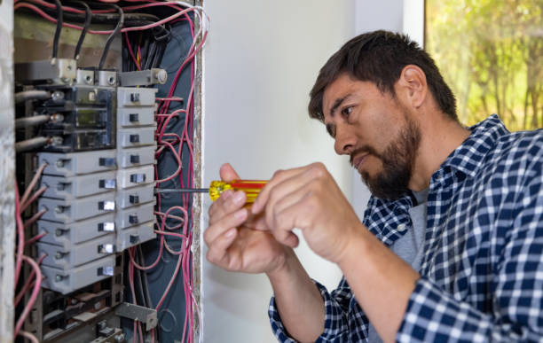Best Electrical Rewiring Services  in Hollister, MO